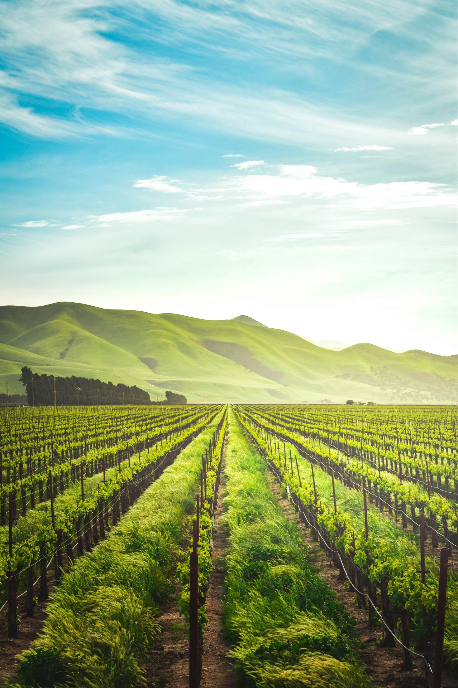 Essential Strategies For Small Scale Farmers